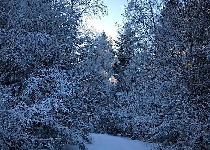 아파트 Boro Hills 보로베츠