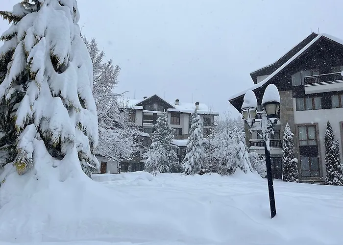 Boro Hills 아파트